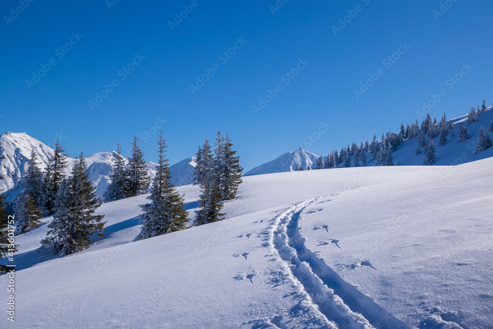 Tourenskispur im Tiefschnee