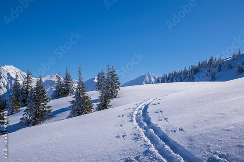 Tourenskispur im Tiefschnee