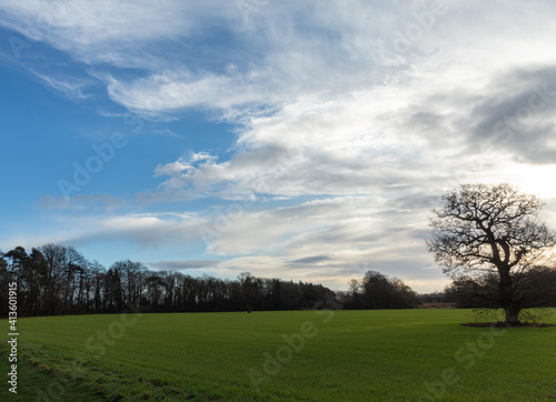 blue cloudy sky, a gentle walk in a park in England