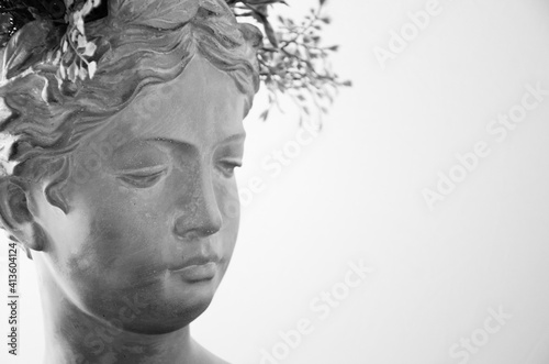 Head Statue with Foliage