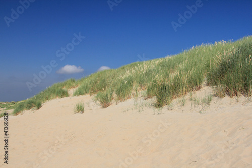 A dune landscape on the North Sea coast in the Netherlands 