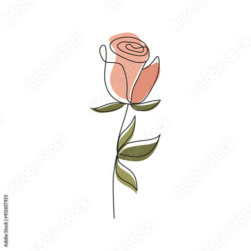 Rose drawing. Vector illustration eps10