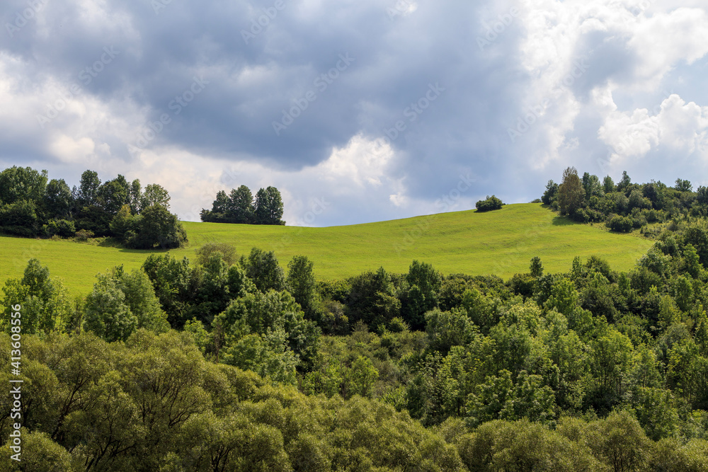 Fototapeta premium landscape with trees