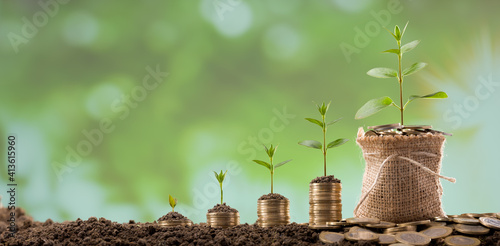 Coins in sack with small plant tree. .Money Business success growing concept