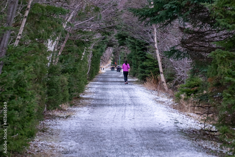 A female jogger runs along a trail in winter with evergreen and birch trees enclosing like a tunnel the footpath. She is wearing a bright pink coat and black pants. The ground has fresh white snow