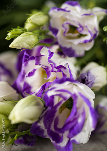 bouquet of lisianthus on a gray background