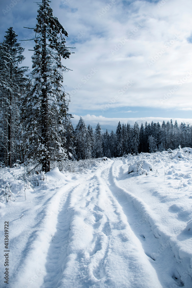 road through winter snowy landscape
