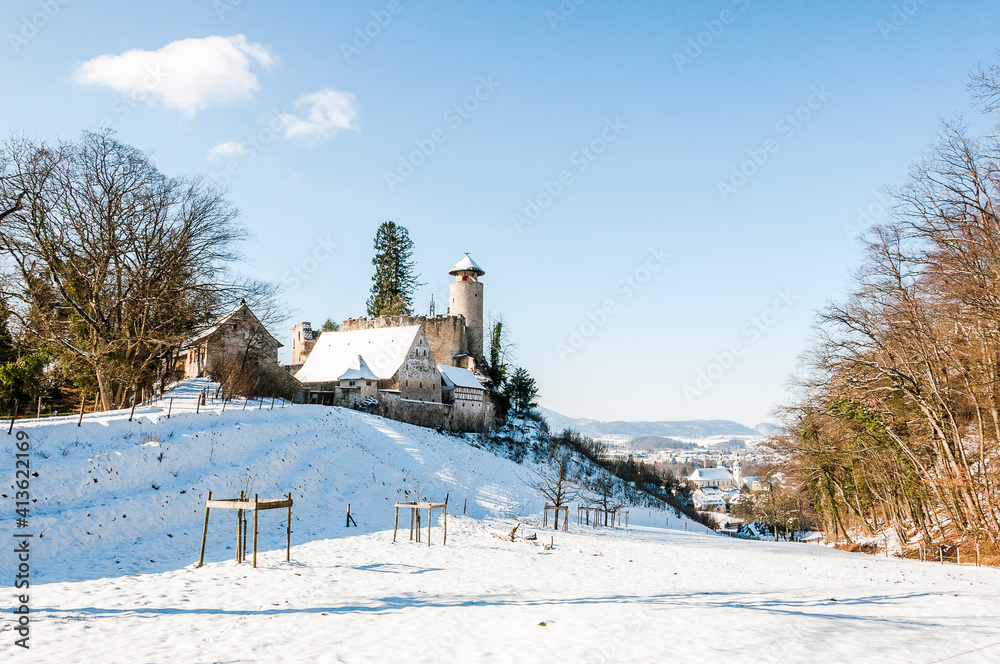 Arlesheim, Schloss Birseck, Burg, Ruine, Ermitage, Dorf, Wanderweg, Wald, Schnee, Schneedecke, Baselland, Birstal, Birseck, Winter, Schweiz