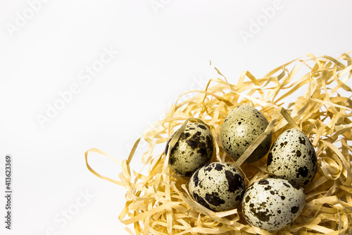 beige nest of a wooden bird made of paper shavings with quail eggs on a white background with a place for text and inscriptions.