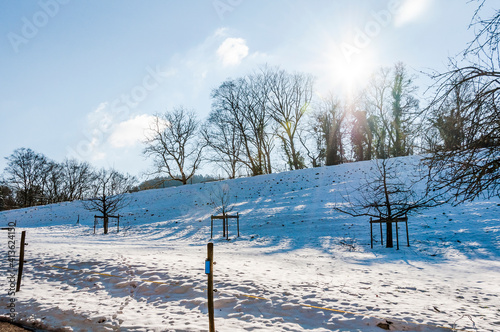 Arlesheim, Schloss Birseck, Ermitage, Wanderweg, Wald, Schnee, Schneedecke, Baselland, Birstal, Birseck, Winter, Schweiz photo