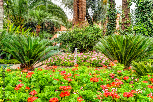 Fototapeta Naklejka Na Ścianę i Meble -  Gardens and trees in the urban parks of Marrakech Morocco