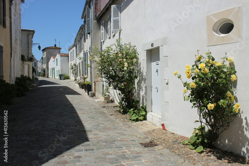 Saint Martin de Ré - Île de Ré