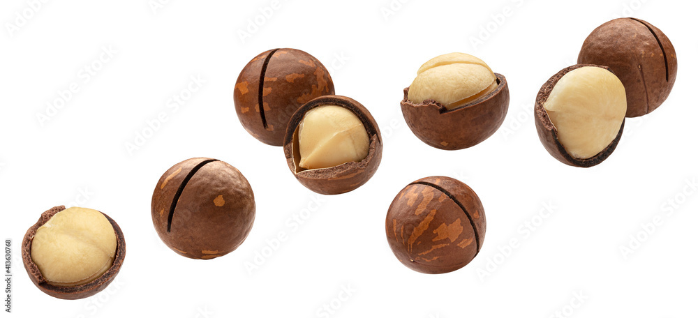Falling macadamia nuts isolated on white background Falling macadamia nuts isolated on white background