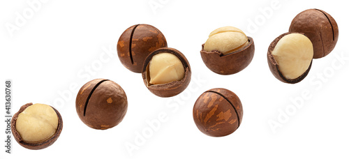 Falling macadamia nuts isolated on white background
