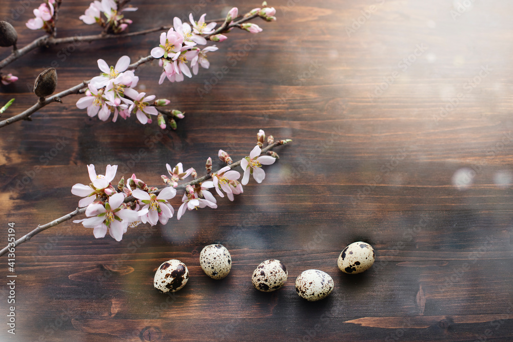 Spring easter background with almond flowers and quail eggs on old wooden table