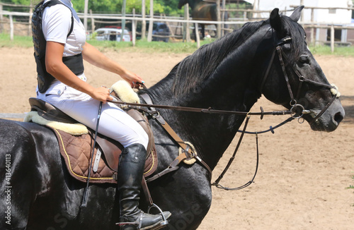  Show jumper horse under saddle in action © acceptfoto