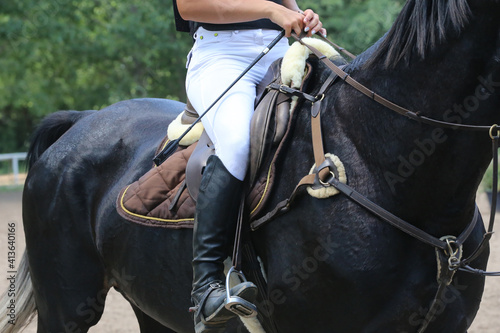  Show jumper horse under saddle in action