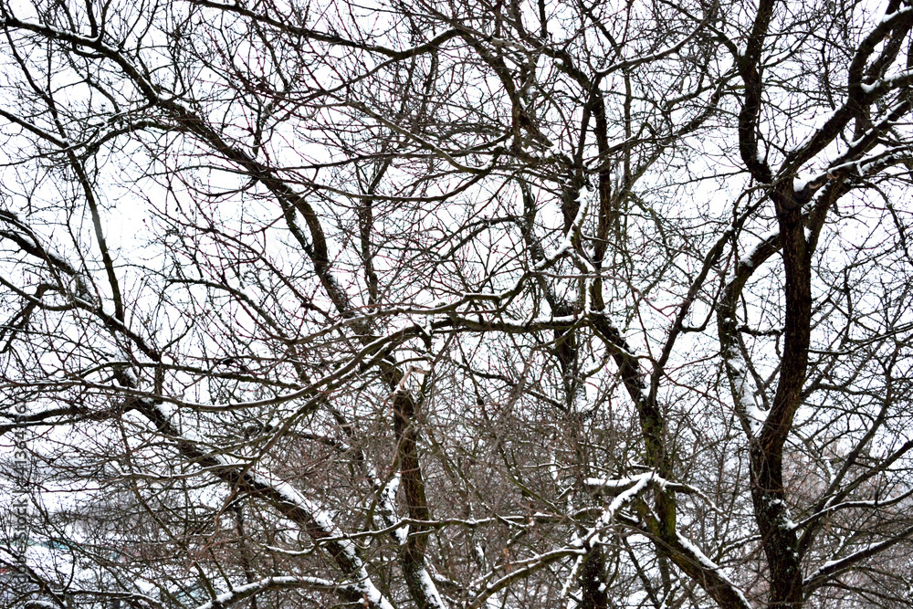 winter landscape from the window as a texture for the background winter landscape from the window as a texture for the background