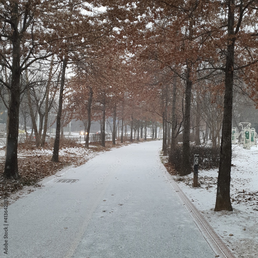 road in winter road in winter