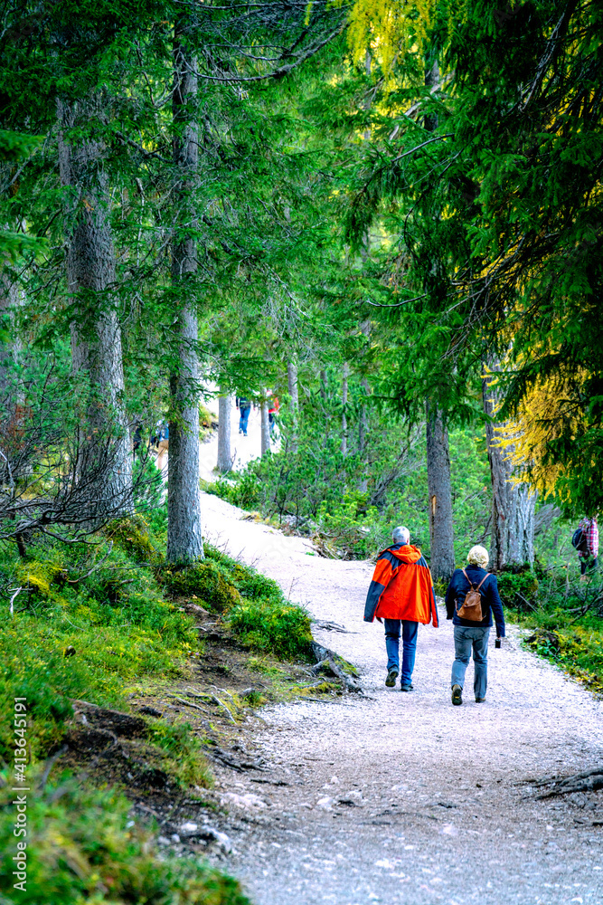 Elderly couple walking along the path in the park.