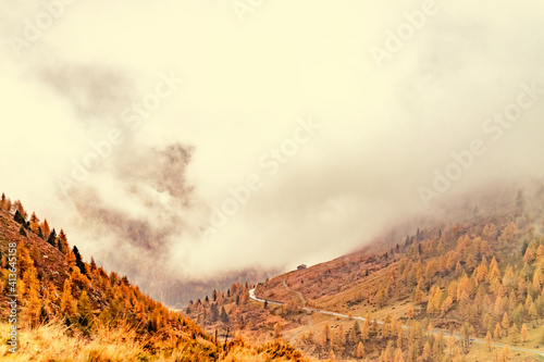 Fog in the mountain autumn forest. Fall in the alps.