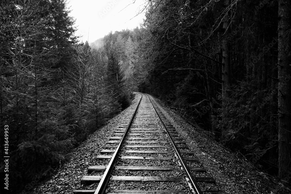 Fototapeta premium Railroad tracks in black and white. 