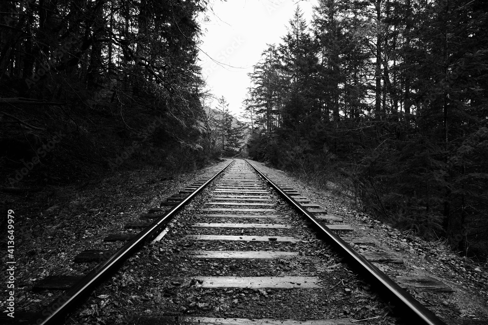 Railroad tracks in black and white. 