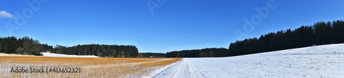 Wide winter landscape cold season wonderful panorama. Cold season with snow and blue sky. © kugelwolf