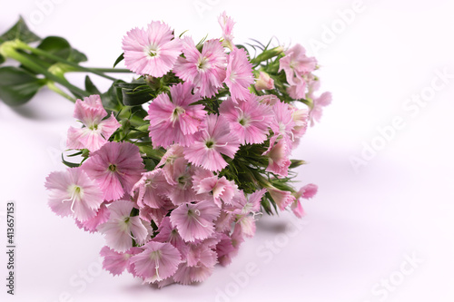 many small pink flowers are collected in a bouquet