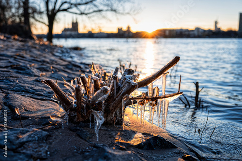 Rheinhochwasser in der Eiszeit in Köln bei Sonnenschein © Thomas