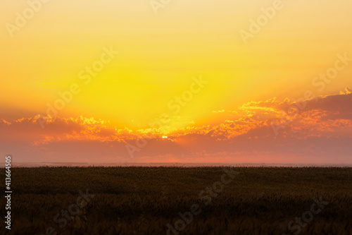 A beautiful orange cloudscape sunset over a golden field of wheat in an agricultural landscape © kat7213