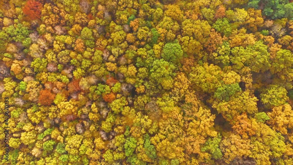Aerial top down view of autumn forest with green and yellow trees. Mixed deciduous and coniferous forest. Beautiful fall scenery Aerial top down view of autumn forest with green and yellow trees. Mixed deciduous and coniferous forest. Beautiful fall scenery