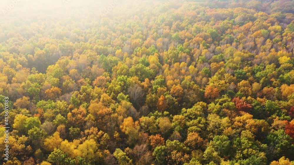 Aerial top down view of autumn forest with green and yellow trees. Mixed deciduous and coniferous forest. Beautiful fall scenery Aerial top down view of autumn forest with green and yellow trees. Mixed deciduous and coniferous forest. Beautiful fall scenery
