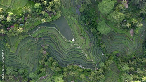 Aerial view of textures of green rice fields in Bali, Indonesia. photo