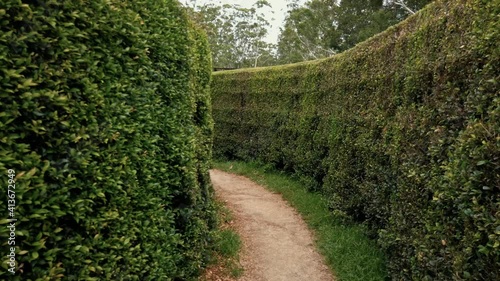 Walking At The Narrow Passage Between Vertical Hedges At Bago Maze and Winery In Wauchope, NSW, Australia. - POV photo