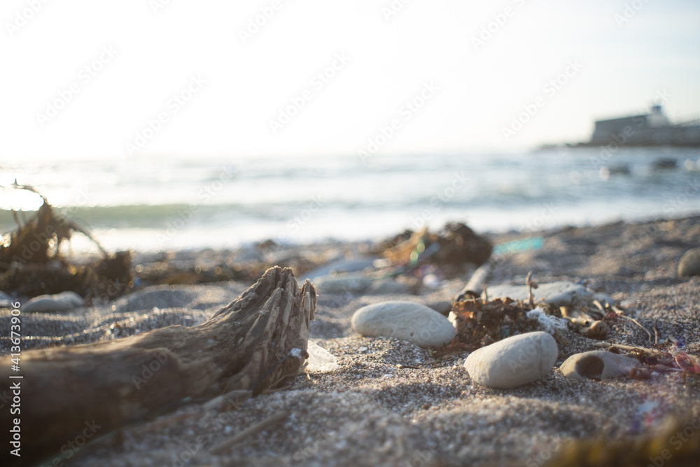 Sandy beach with driftwood