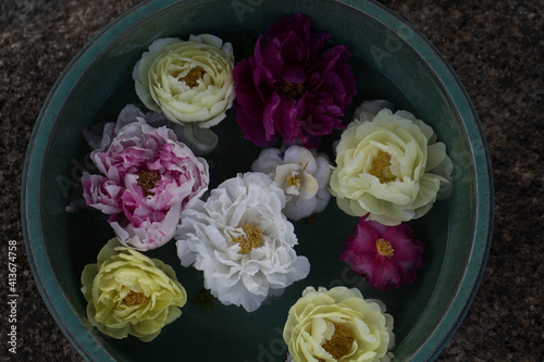 cut peony