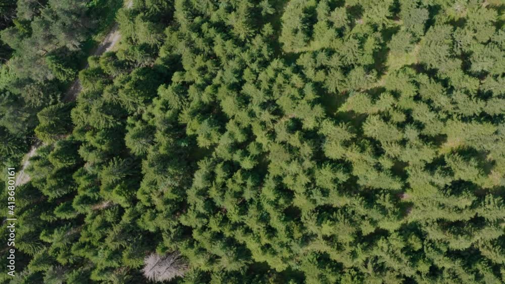 Aerial flyover shot of Golija mountain in the Dinaric mountain range of southwestern Serbia. Aerial flyover shot of Golija mountain in the Dinaric mountain range of southwestern Serbia.