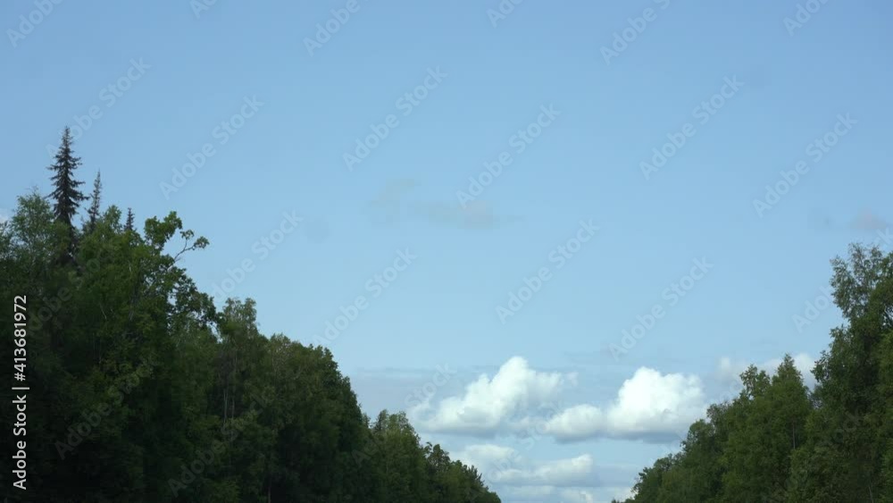 driving through a dense forest