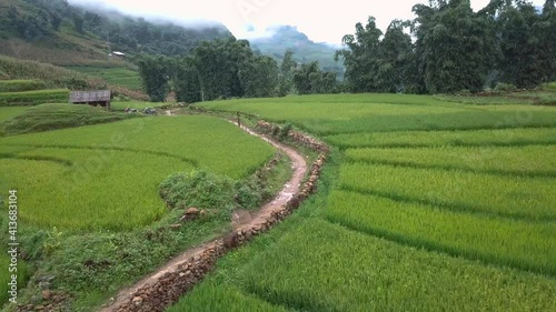 Epic video flying over green rice felds in Sapa Vietnam photo