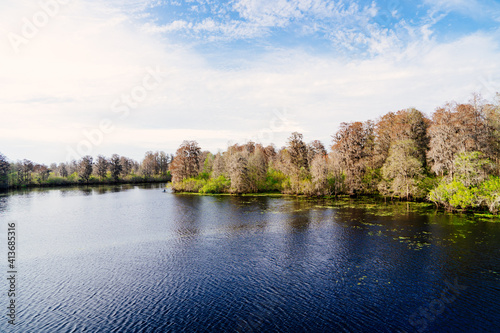 The landscape of lettuce park and Hillsborough river in Florida