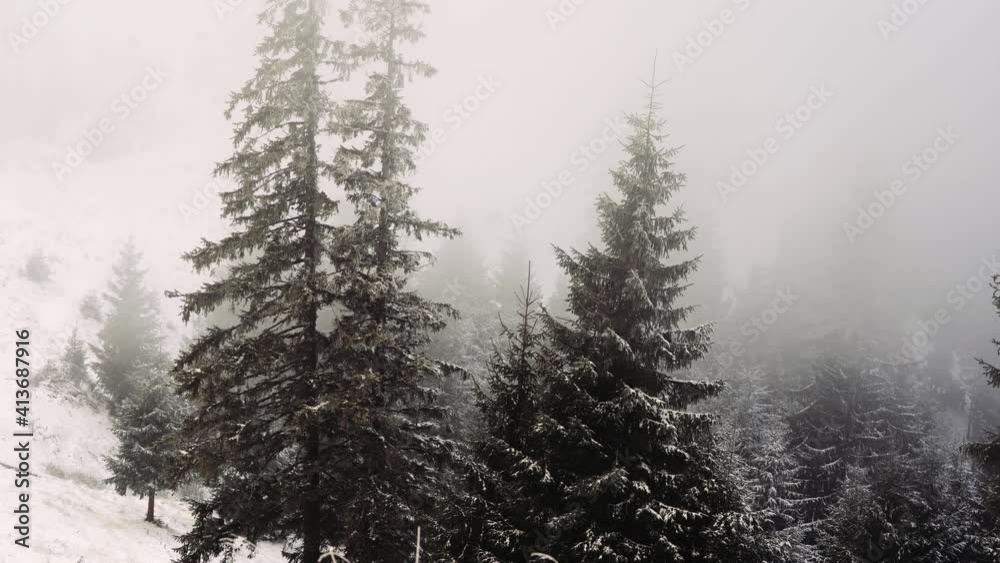 Foggy morning in the romanian mountain. 4k stable shots