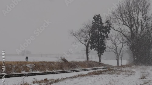 Wallpaper Mural A View of a Winter Snow Storm With Blowing Winds and Snow Over Farmlands and a Rail Road Track and a Man Walking His Dog Torontodigital.ca