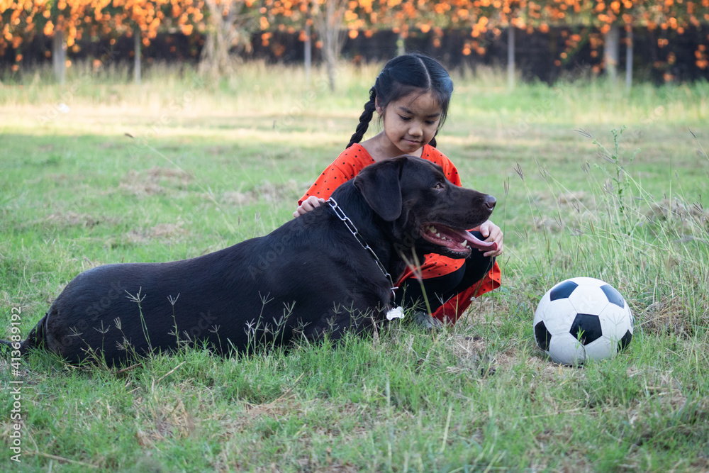 A young Asain girl playing football with her big black dog outside the grass ground in the yard in the evening. , A young Asain girl playing football with her big black dog outside the grass ground in the yard in the evening. ,