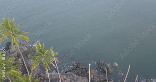 Palm Trees At Rocky Shoreline With Calm Waves In Palolem Beach, Canacona, South Goa, India. - Aerial Tilt-Up Shot photo