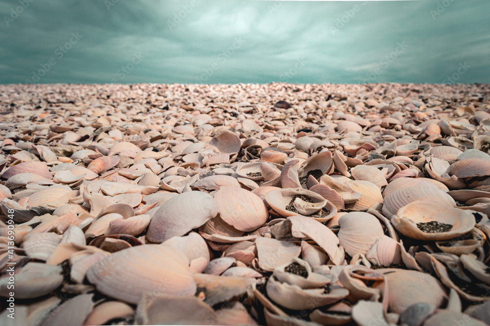Sea of shells with sky on the horizon Sea of shells with sky on the horizon