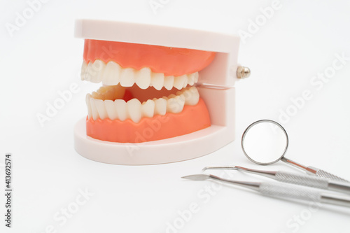 Dentist tool care set and tooth model  on white