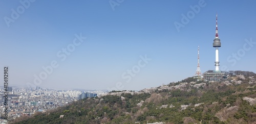 The mountain with landmark tower, cherry blossom