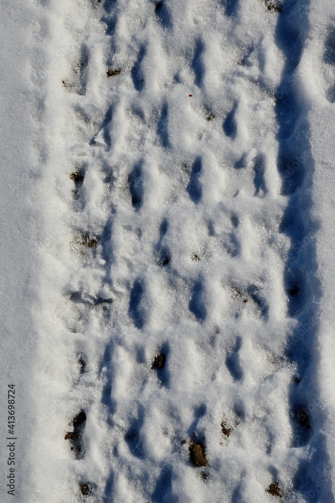 Texture of tread pattern from light quad bike printed in fresh snow. Texture of tread pattern from light quad bike printed in fresh snow.