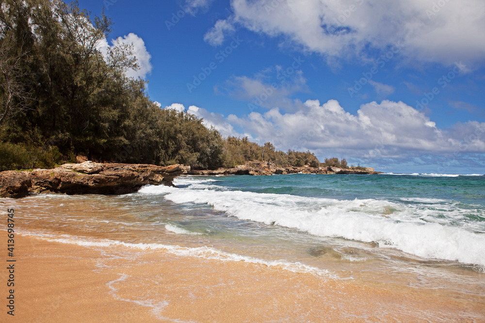 Scenic view of sea waves rushing towards shore by trees against cloudy sky Scenic view of sea waves rushing towards shore by trees against cloudy sky